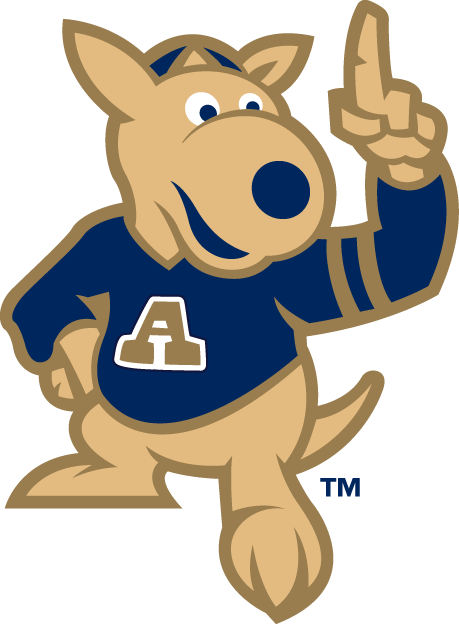 Akron Zips 2002-Pres Mascot Logo v2 diy DTF decal sticker